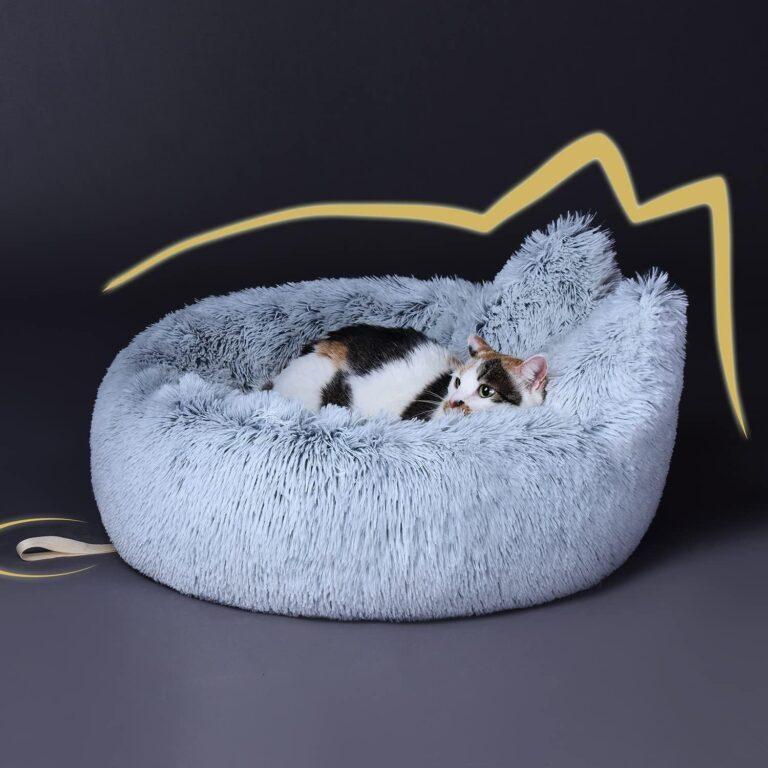 Cute Cat Beds